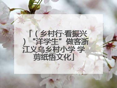 （乡村行·看振兴）“洋学生”做客浙江义乌乡村小学 学剪纸悟文化