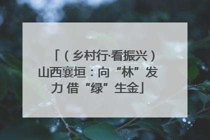 （乡村行·看振兴）山西襄垣：向“林”发力 借“绿”生金