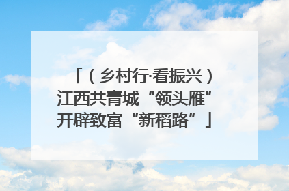 （乡村行·看振兴）江西共青城“领头雁”开辟致富“新稻路”
