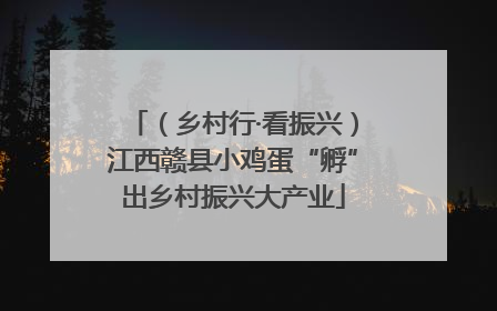 （乡村行·看振兴）江西赣县小鸡蛋“孵”出乡村振兴大产业