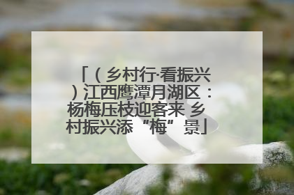（乡村行·看振兴）江西鹰潭月湖区：杨梅压枝迎客来 乡村振兴添“梅”景