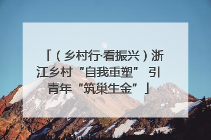 （乡村行·看振兴）浙江乡村“自我重塑” 引青年“筑巢生金”