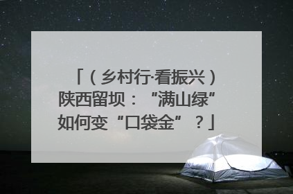 （乡村行·看振兴）陕西留坝：“满山绿”如何变“口袋金”？