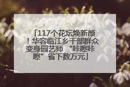 117个花坛焕新颜！华容临江乡干部群众变身园艺师 “咔嚓咔嚓”省下数万元