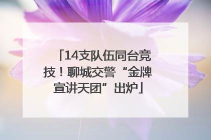 14支队伍同台竞技！聊城交警“金牌宣讲天团”出炉