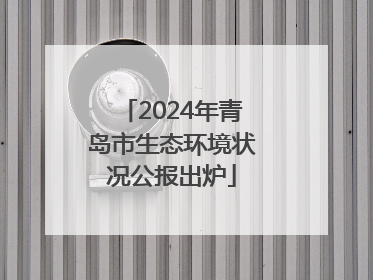 2024年青岛市生态环境状况公报出炉