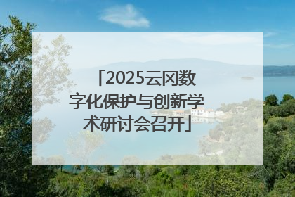 2025云冈数字化保护与创新学术研讨会召开