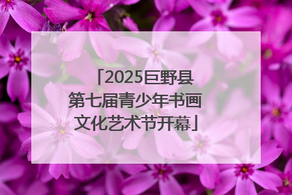 2025巨野县第七届青少年书画文化艺术节开幕