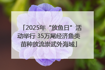2025年“放鱼日”活动举行 35万尾经济鱼类苗种放流崇武外海域