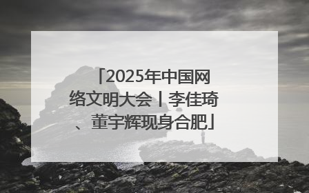 2025年中国网络文明大会丨李佳琦、董宇辉现身合肥