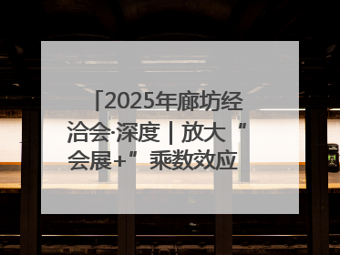 2025年廊坊经洽会·深度｜放大“会展+”乘数效应 打造消费新场景