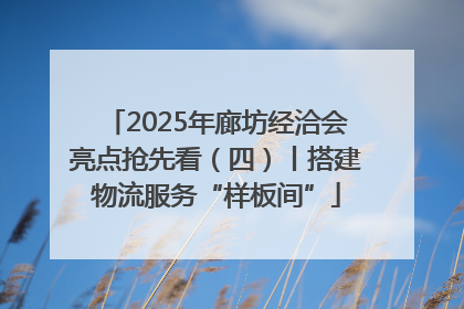 2025年廊坊经洽会亮点抢先看（四）丨搭建物流服务“样板间”