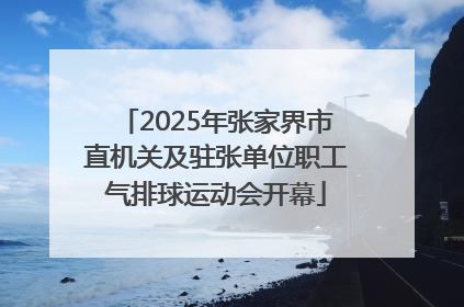 2025年张家界市直机关及驻张单位职工气排球运动会开幕