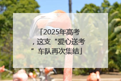 2025年高考，这支“爱心送考”车队再次集结