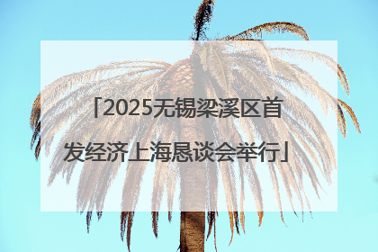 2025无锡梁溪区首发经济上海恳谈会举行