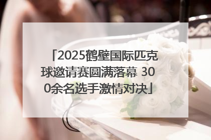 2025鹤壁国际匹克球邀请赛圆满落幕 300余名选手激情对决
