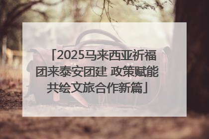 2025马来西亚祈福团来泰安团建 政策赋能共绘文旅合作新篇