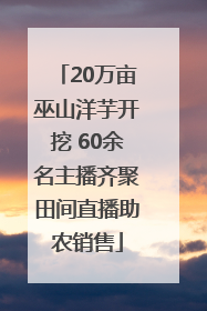 20万亩巫山洋芋开挖 60余名主播齐聚田间直播助农销售