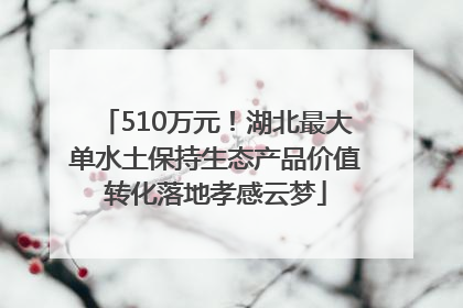 510万元！湖北最大单水土保持生态产品价值转化落地孝感云梦