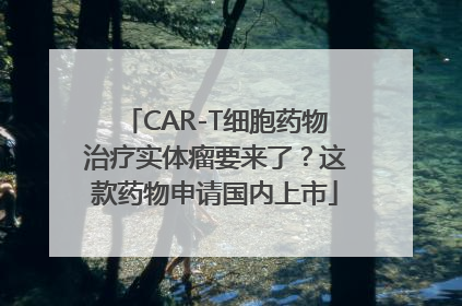 CAR-T细胞药物治疗实体瘤要来了？这款药物申请国内上市