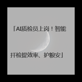 AI质检员上岗！智能扦检提效率、护粮安