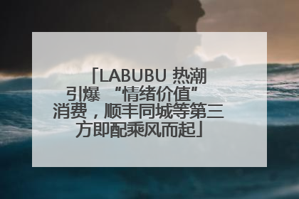 LABUBU 热潮引爆 “情绪价值” 消费，顺丰同城等第三方即配乘风而起