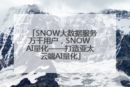 SNOW大数据服务万千用户，SNOW AI量化——打造亚太云端AI量化