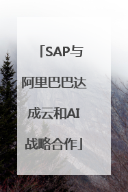 SAP与阿里巴巴达成云和AI战略合作